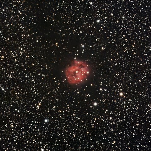 IC5146（まゆ星雲）