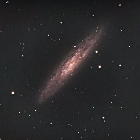 NGC253ちょうこうしつ座銀河