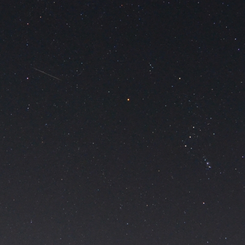 ベテルギウスの近くを流れる星