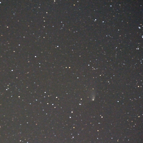 カシオペヤ座α星とβ星の間に見えたパンスターズ彗星