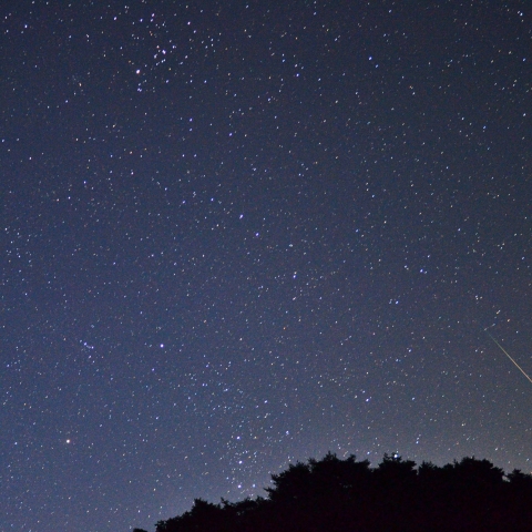 上り来るオリオンと流星
