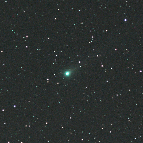 Lovejoy_Nov13