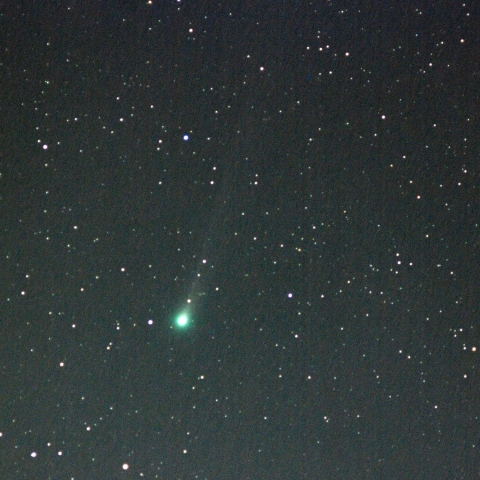 Lovejoy-Nov18