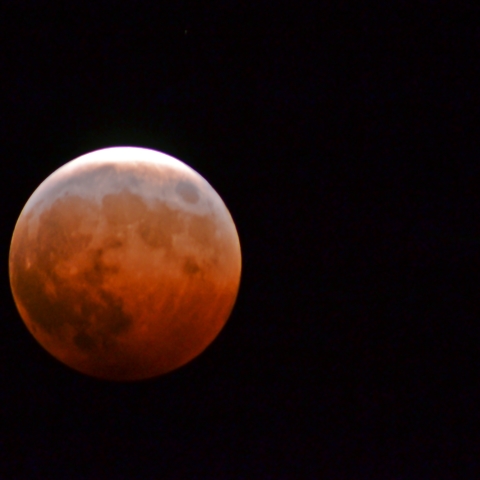 ブルーベルトの月と天王星