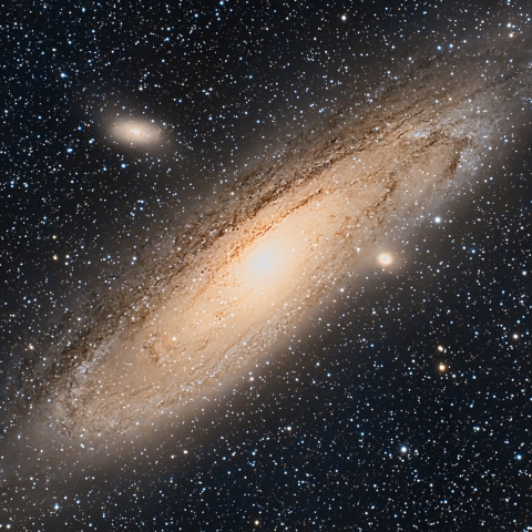 M31