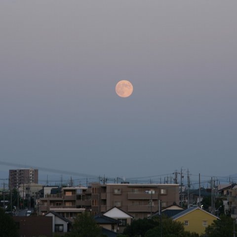 見慣れた家並みの名月