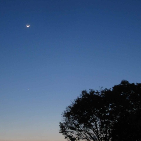 三日月と金星のランデブー