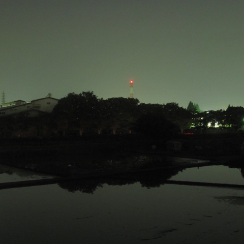 水面に写る金星