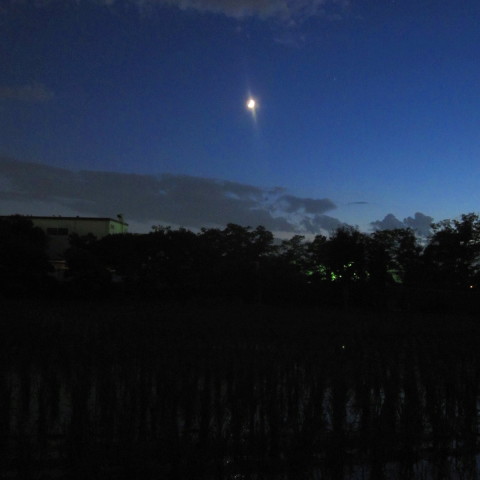 梅雨の晴れ間の田圃と三日月
