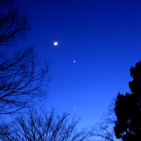 木々の上の月木金と昴