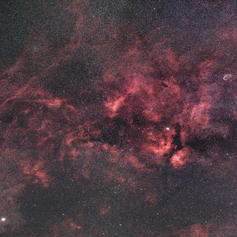 サドル付近の星雲