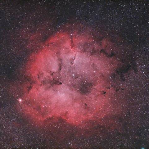 IC1396