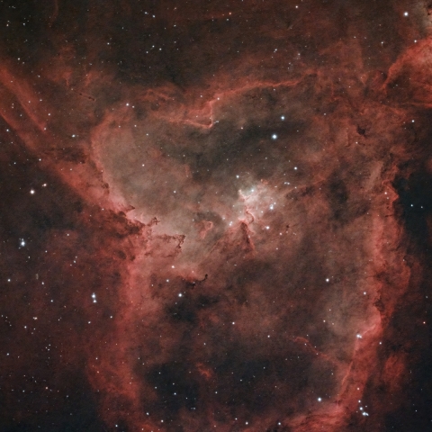 IC1805　ハート星雲