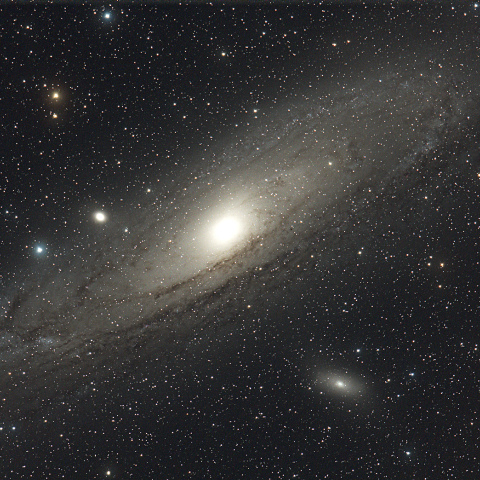 M31