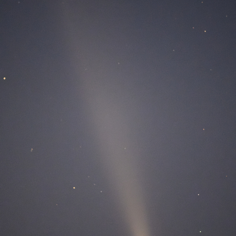 紫金山アトラス彗星