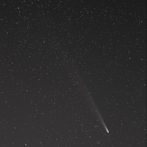 紫金山・アトラス（C/2023 A5）彗星 ，2024/10/21