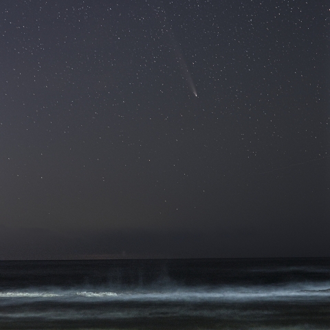 日本海上空の紫金山・アトラス（C/2023 A5）彗星 ，2024/10/25 -２