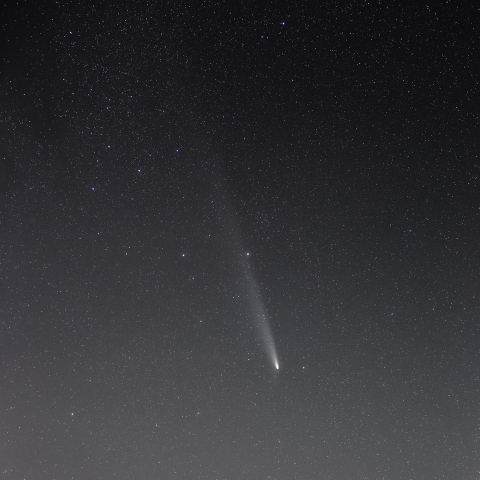 紫金山・アトラス（C/2023 A5）彗星，2024/10/26