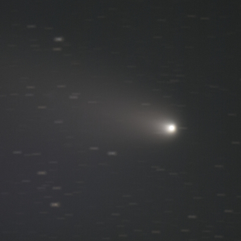 紫金山・アトラス（C/2023 A5），2024/10/30 - １