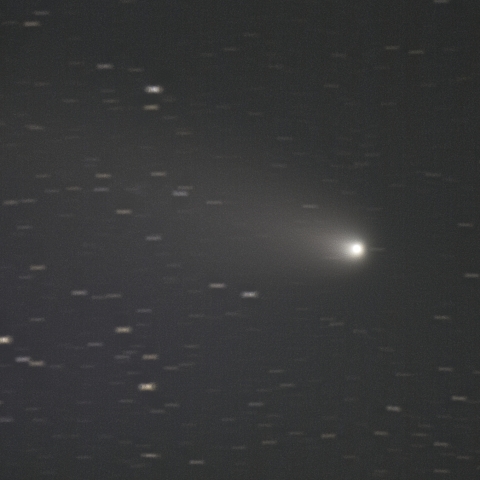 紫金山・アトラス（C/2023 A5）彗星，2024/10/30 -１ RG