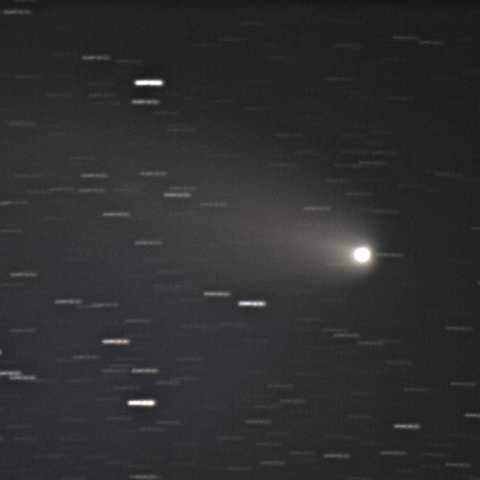 紫金山・アトラス（C/2023 A5）彗星，2024/10/30 - ２