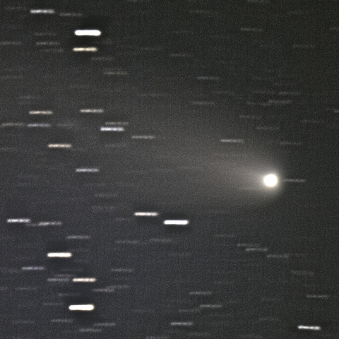 紫金山・アトラス（C/2023 A5）彗星，2024/10/30 - ２ RG