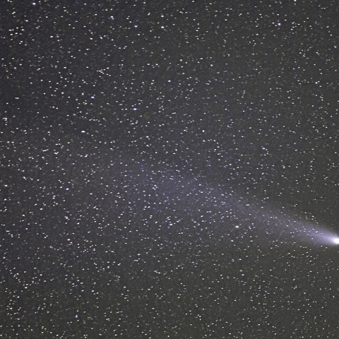 紫金山・アトラス（C/2023 A5）彗星，2024/10/30 - 4