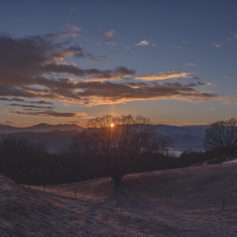 2017年 初日の出