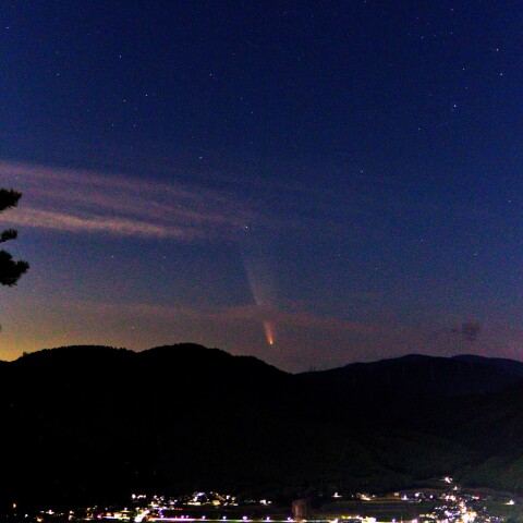 紫金山・アトラス彗星