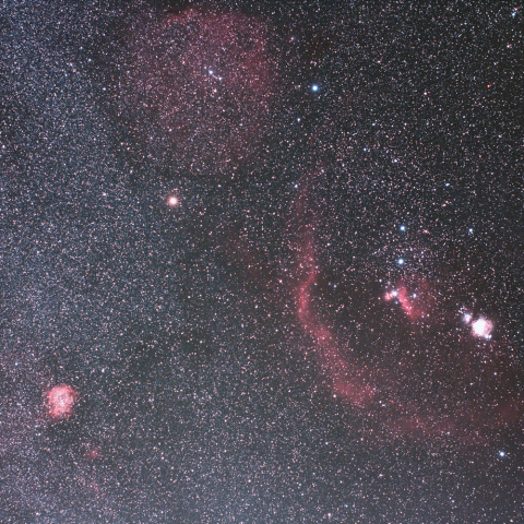 オリオンとバラ