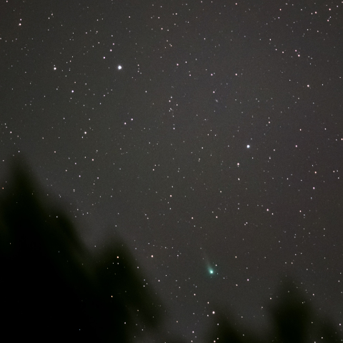 6月25日のパンスターズ彗星(C/2012 K1)