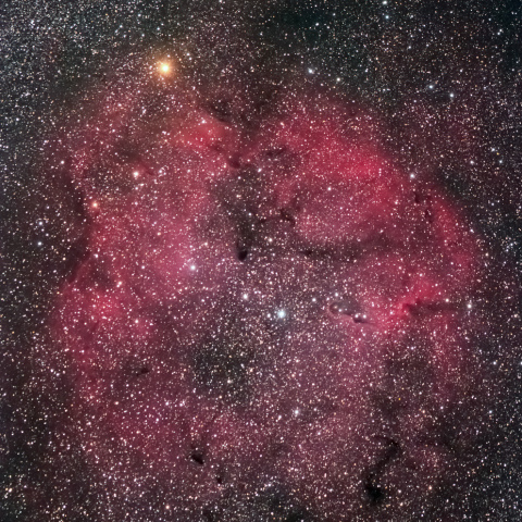 ガーネットスターとIC1396