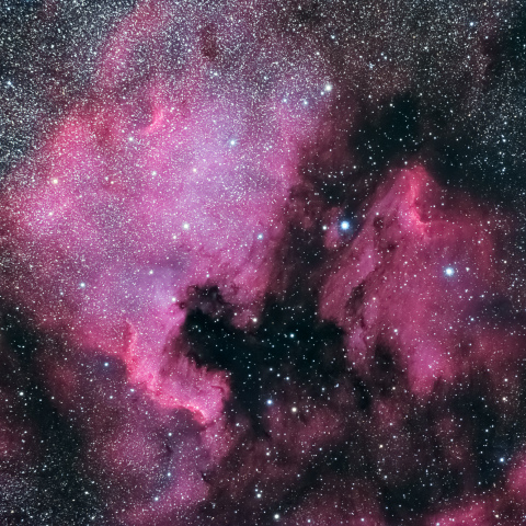 北アメリカ星雲とペリカン星雲