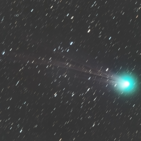 1月12日のラブジョイ彗星(C/2014 Q2)