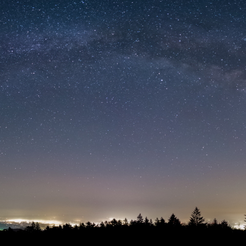 夏の天の川アーチ