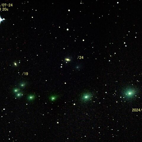 紫金山彗星（62P）2024/02/07-24