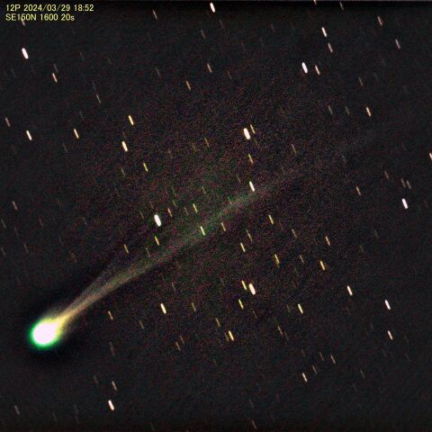 ポン・ブルックス彗星 2024/03/29 18:52