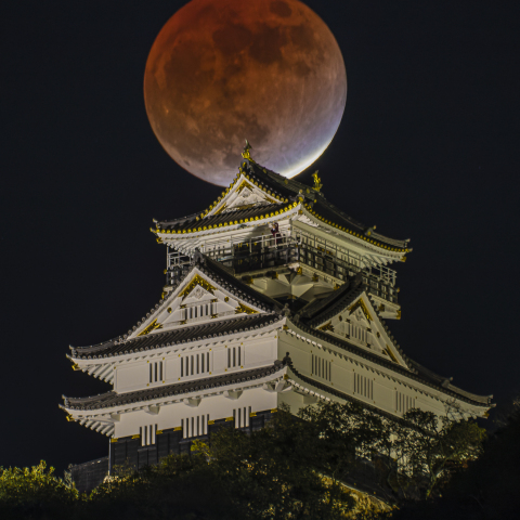 岐阜城と満月(部分月食)2021/11/19 