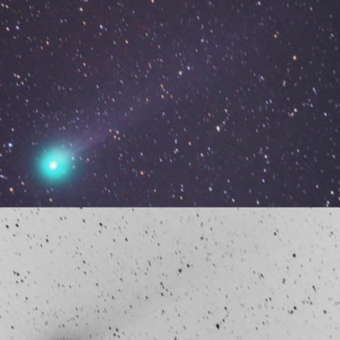 ラブジョイ彗星