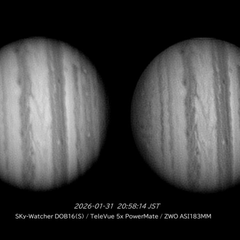 Jupiter 2026-01-31