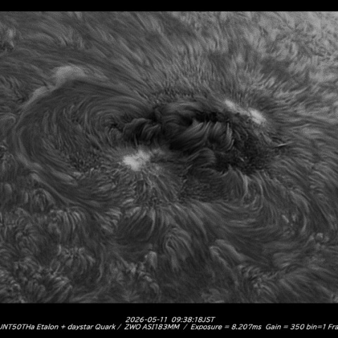 sun 2026-05-11