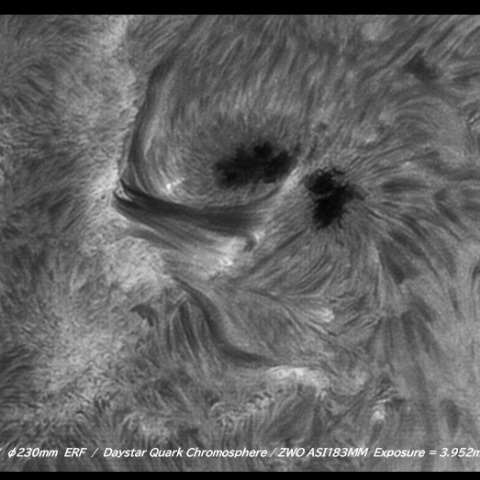 sun 2026-05-13