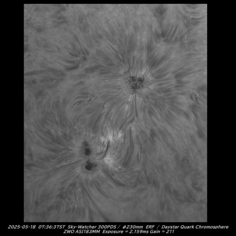 sun 2026-05-18