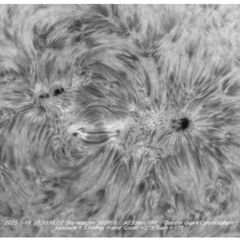 sun 2026-05-19