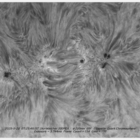 sun 2026-05-20