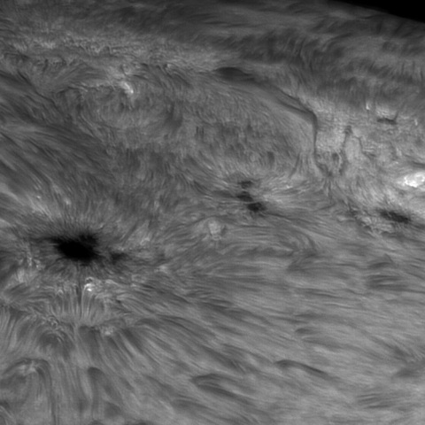 sun 2026-05-25