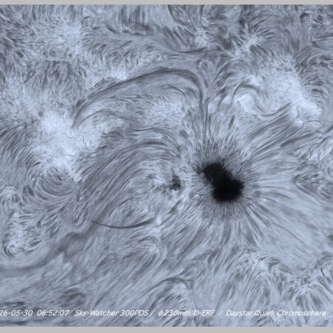 sun 2026-06-01
