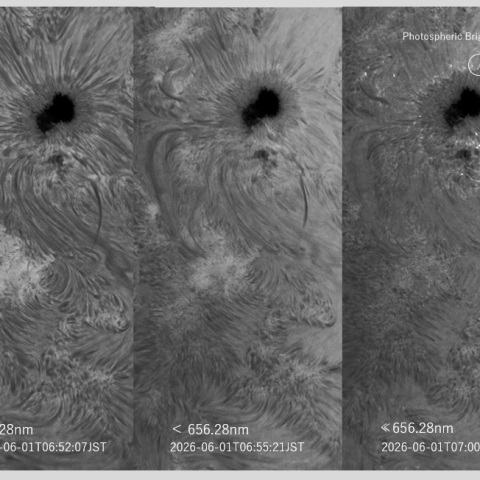 sun 2026-06-01