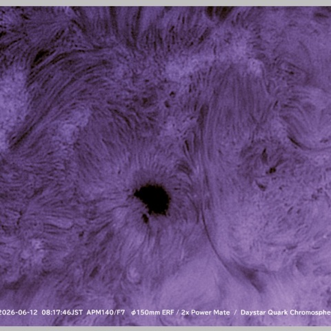 sun 2026-06-12