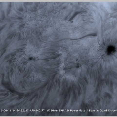 sun 2026-06-13